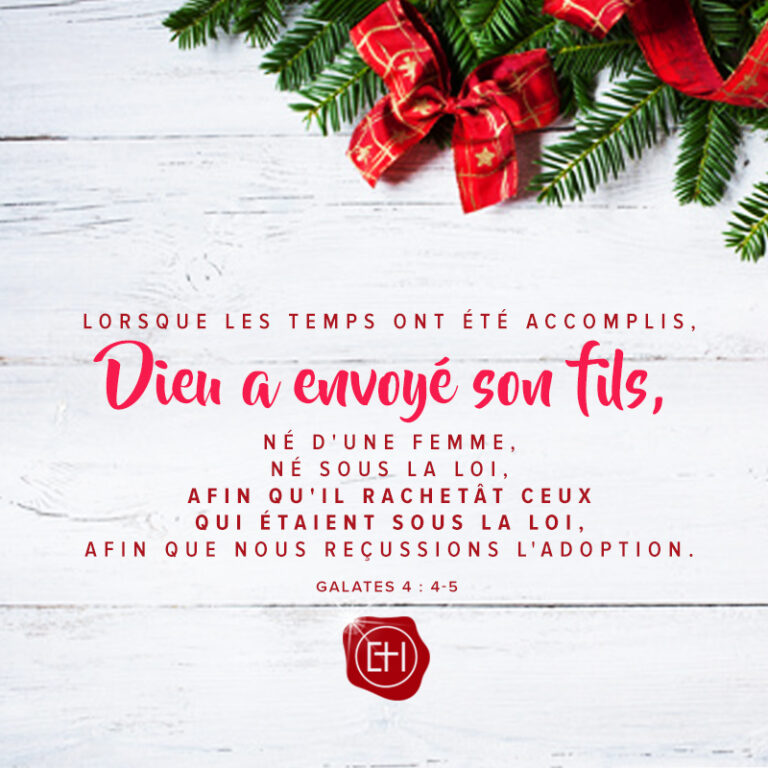 Christmas (11)