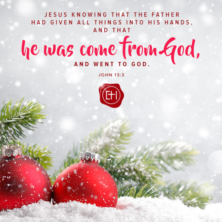 Christmas (14)