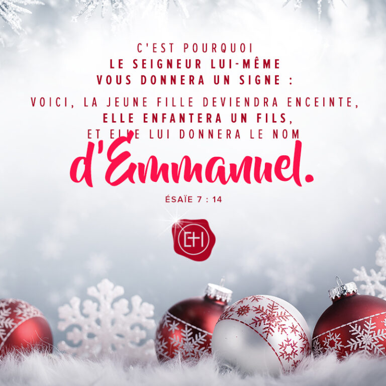Christmas (7)