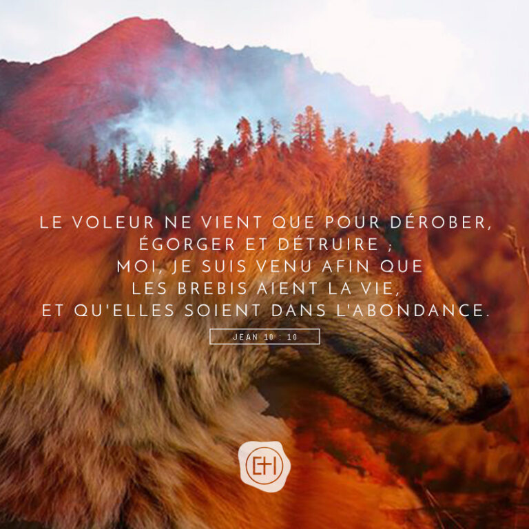 Versets Bibliques (13)