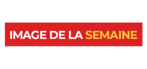 Image de la semaine (Logo)
