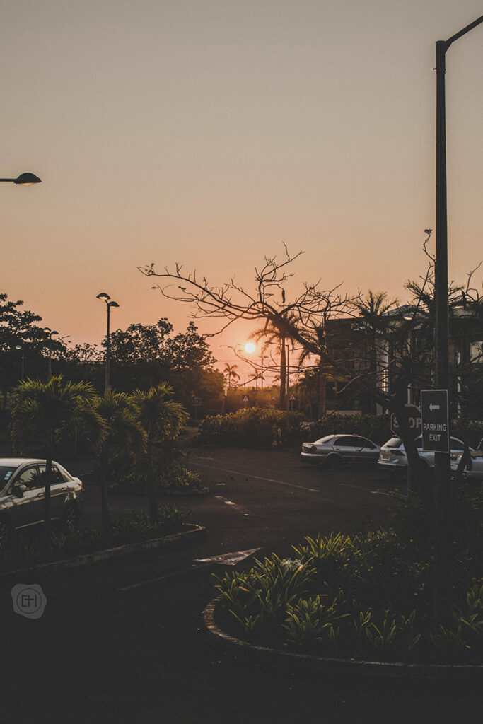 Photographie_Maurice (89)