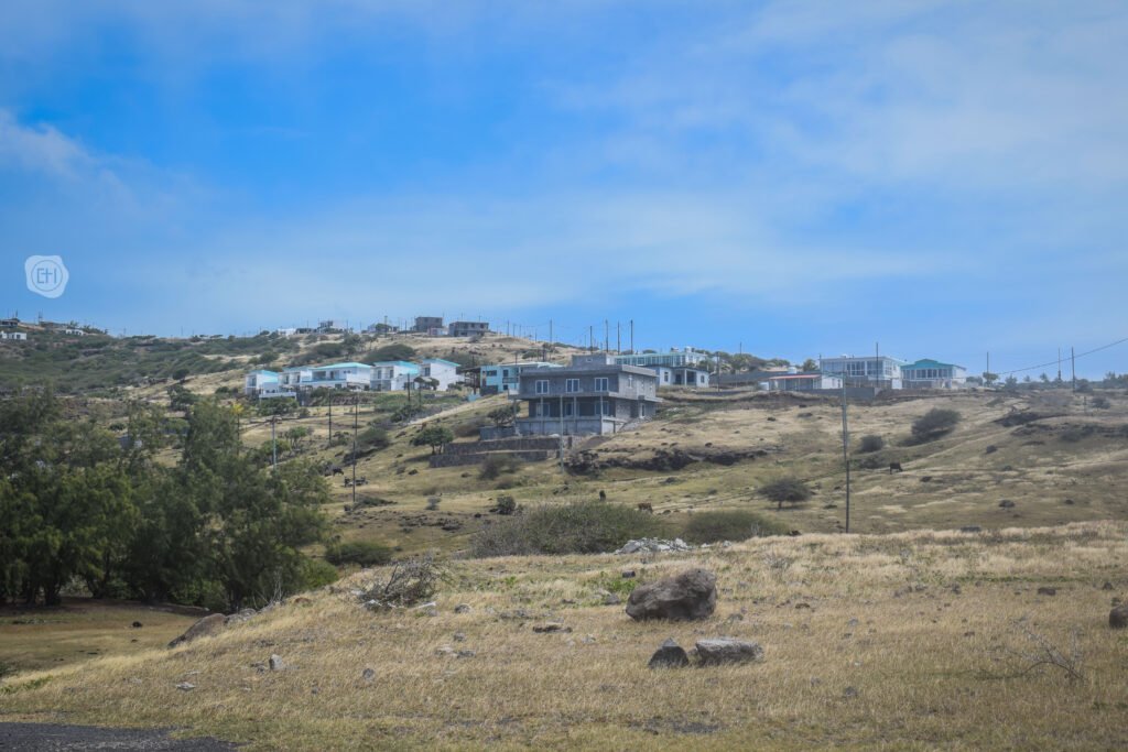 DSC_0433