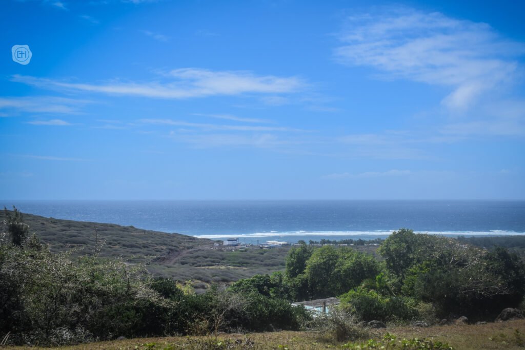 DSC_0443